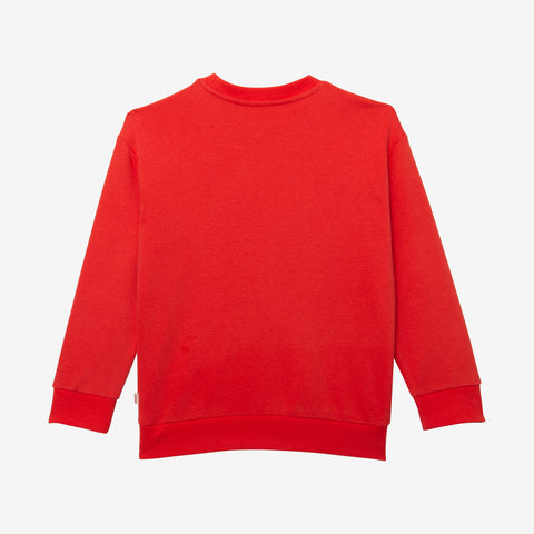 Kid red sweatshirt